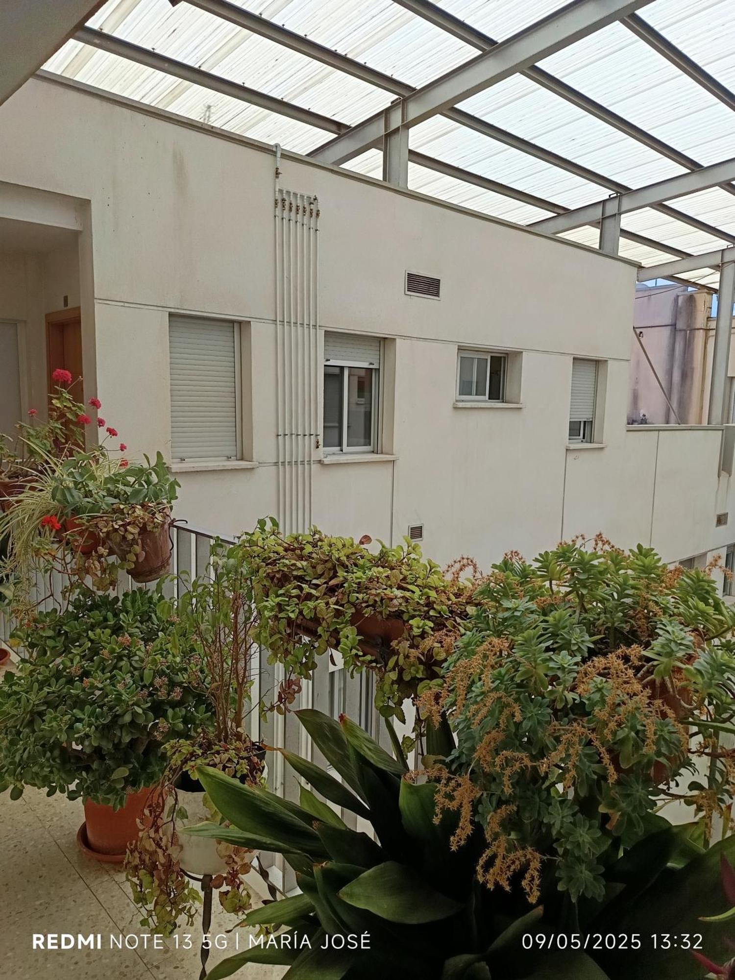 Apartamento Disfruta Granada,incluso con tu mascota Parking Exterior foto